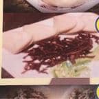 Best Pork Bun (4 pcs) in Fountain Hills, AZ